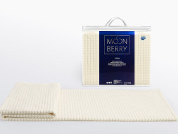 Плед "Moonberry" 200х210 (пакет блеск) молочный Плед "Moonberry" 200х210 (пакет блеск) молочный